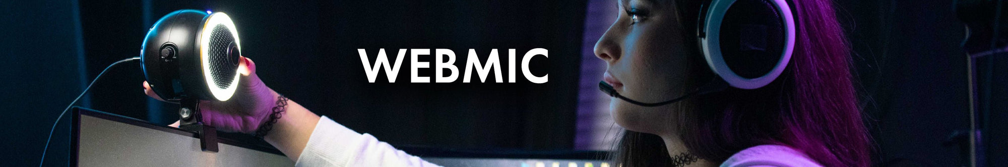WebMic: Web Cams with Microphone
