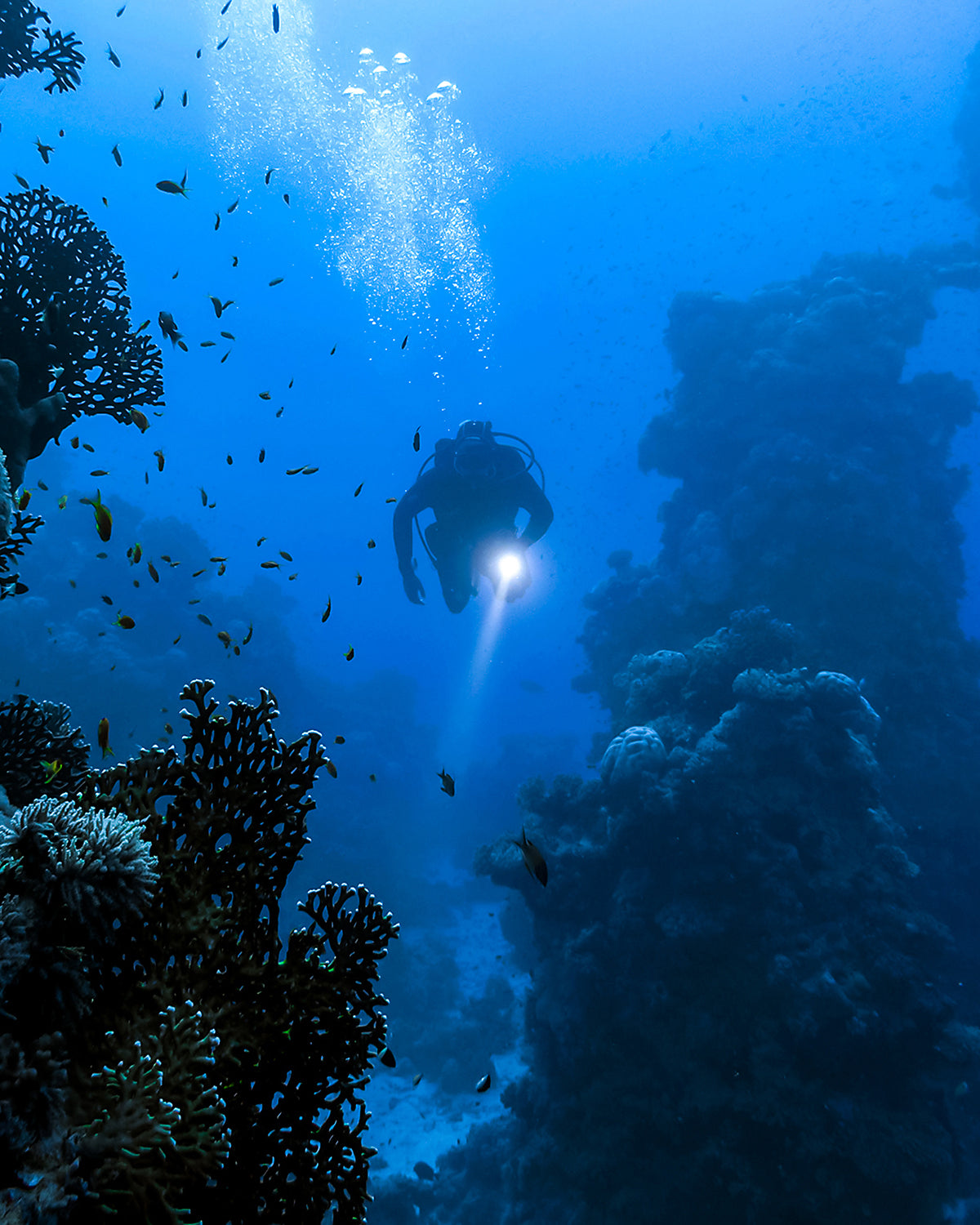 DiveRig6 | Underwater Video/Photo Diving Rig | Movo