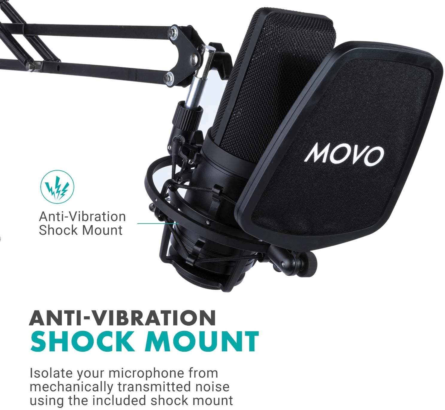 Studio Condenser Microphone